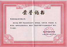 重慶市2007年先進拍賣企業(yè)